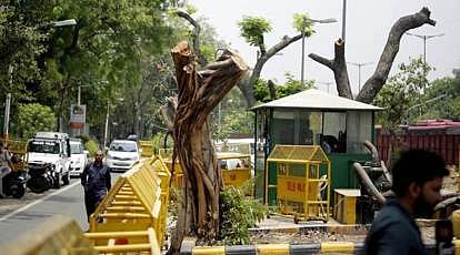 PTI : Delhi felled down in south Delhi.(Representational image) |